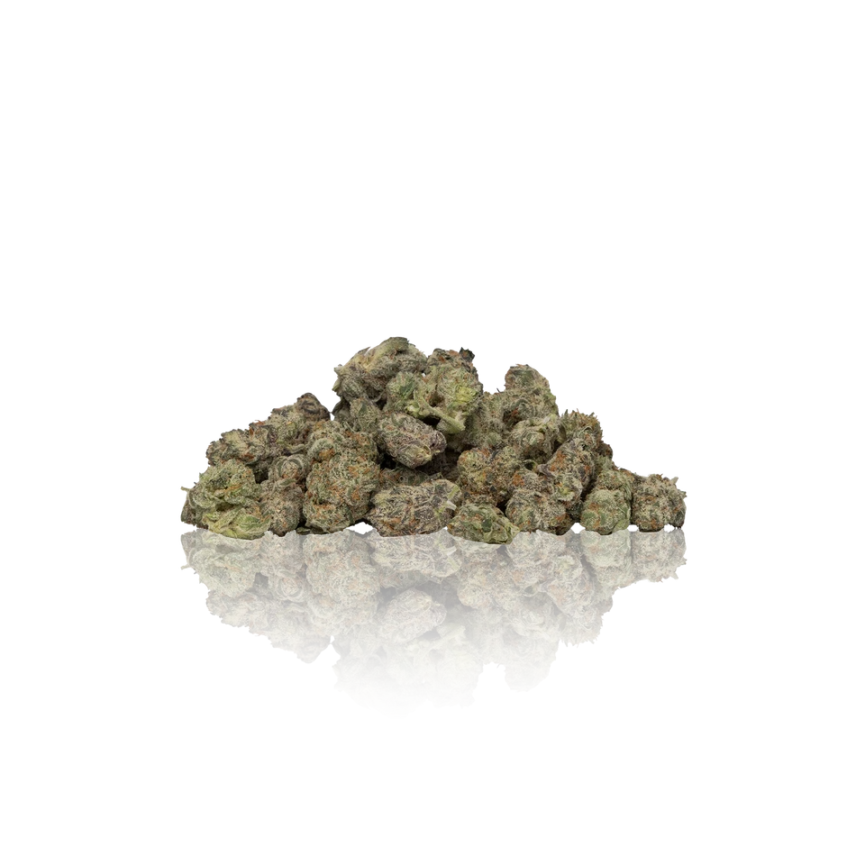 Maven Genetics Premium Indoor Flower Minis