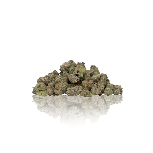 Maven Genetics Premium Indoor Flower Minis