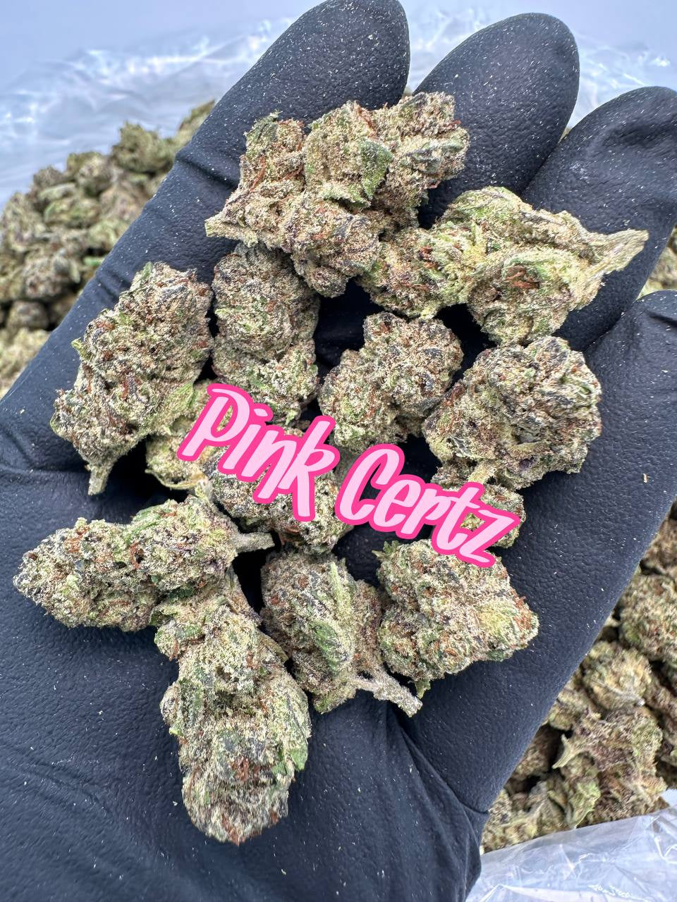 NEW MEDIUMS: Pink Certz, Zingers