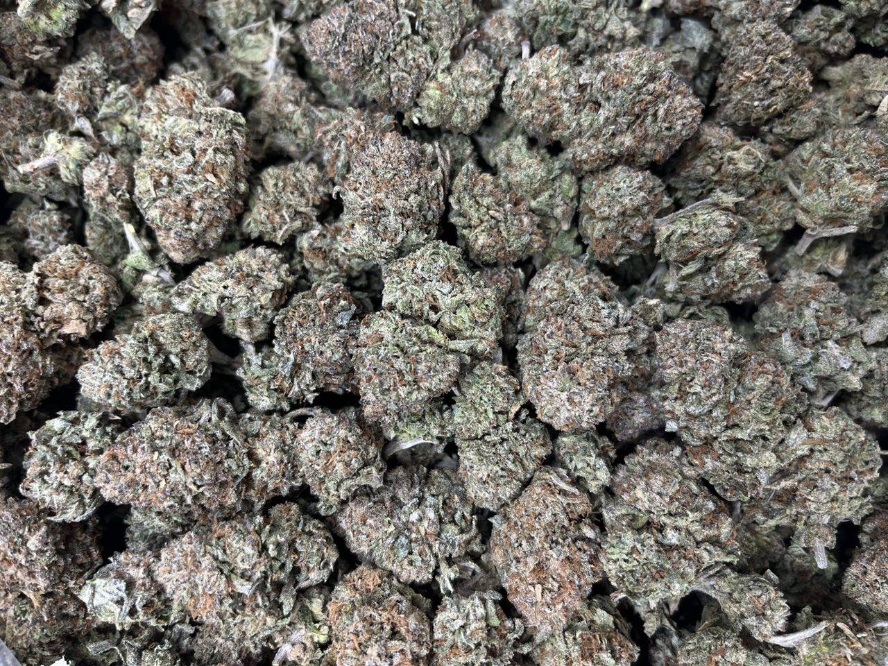 [EXOTIC] Nutter Butter