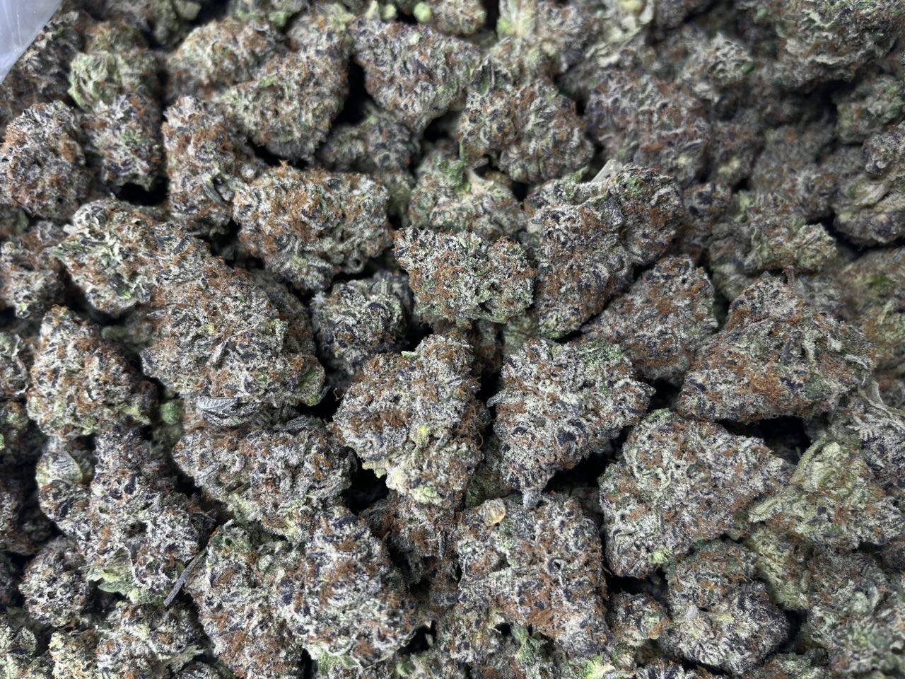 [EXOTIC] Peanut Butter Breath