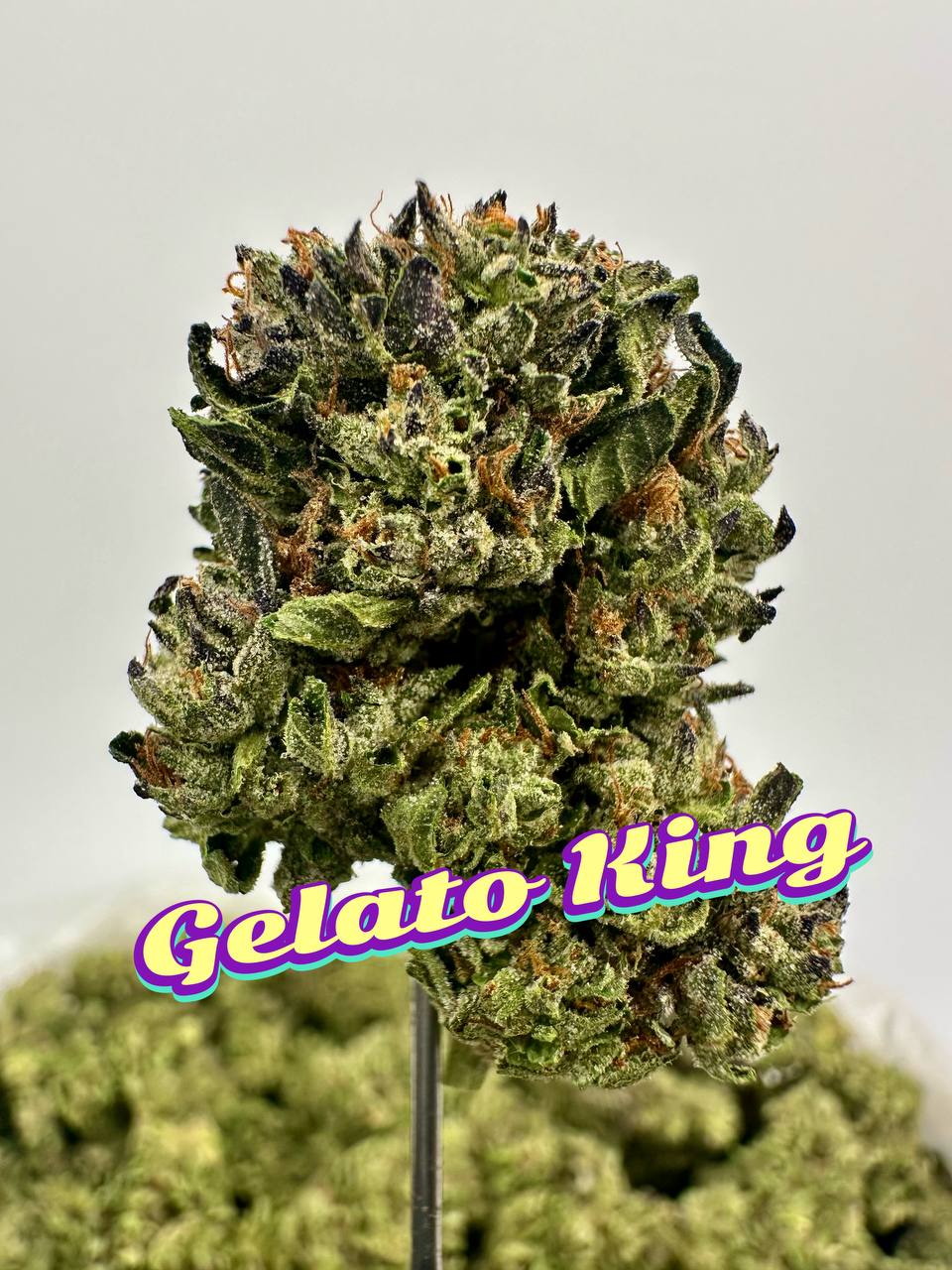 LIGHT DEPS: Banaffy Taffy, Gaz Monkey, Gelato King
