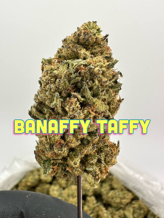 LIGHT DEPS: Banaffy Taffy, Gaz Monkey, Gelato King