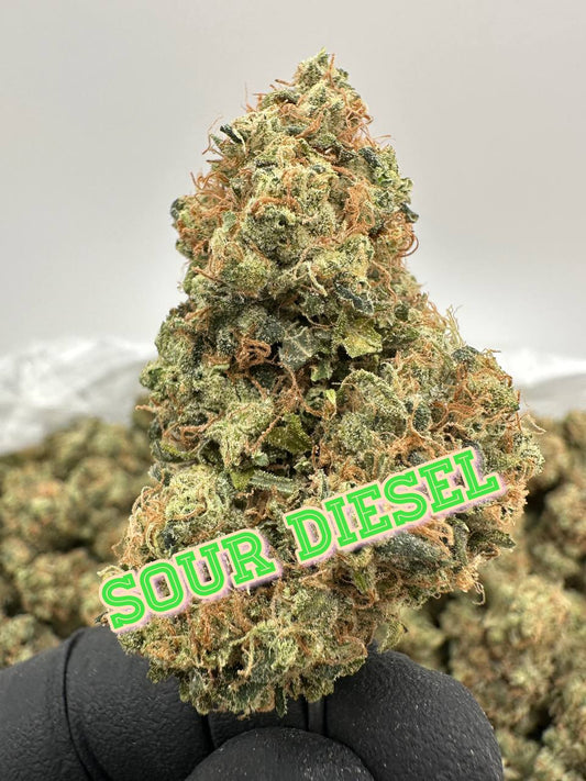 LEGENDS JUNIOR VARSITY SQUAD: Sour Diesel, Blue Dream