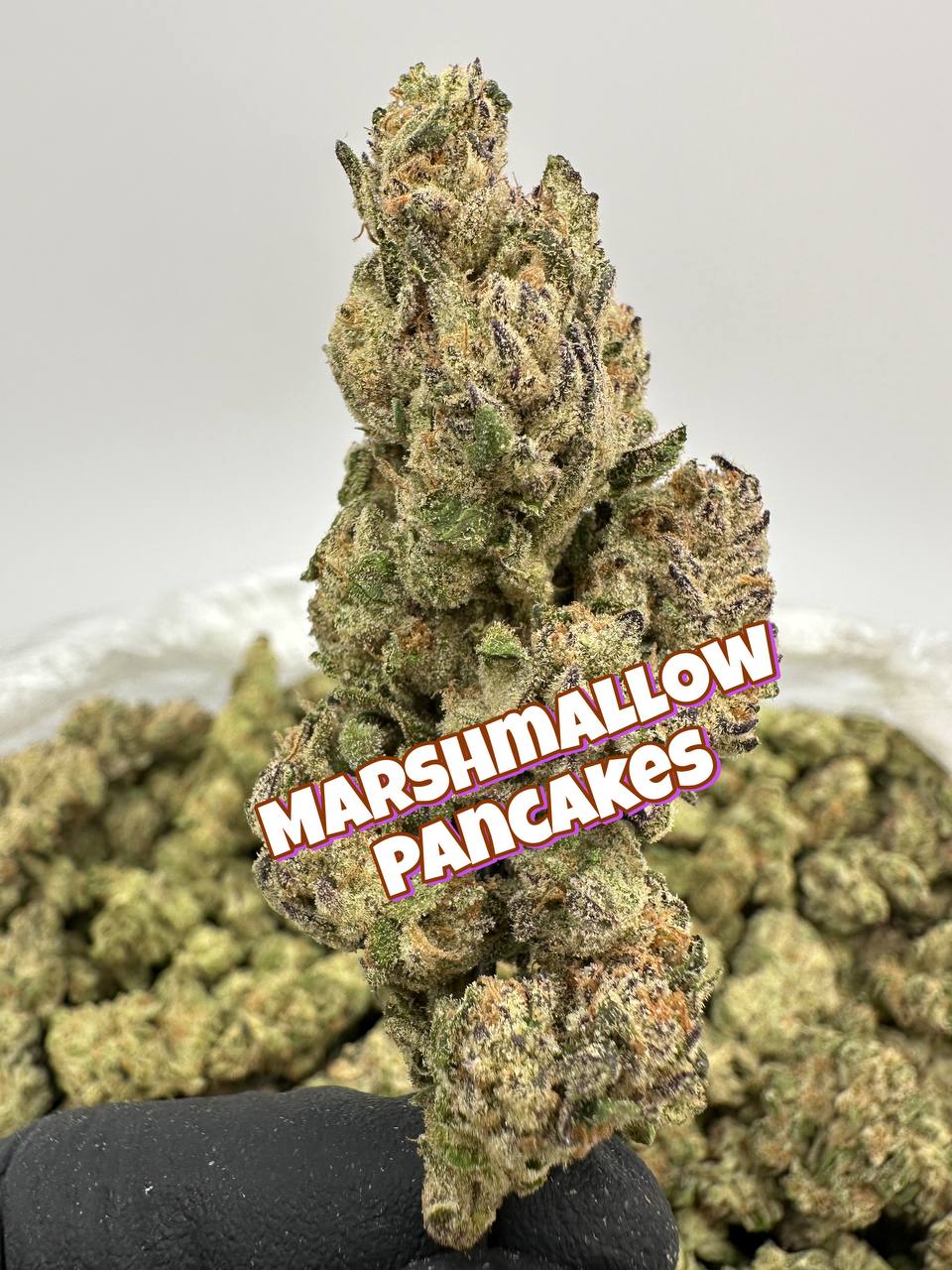 NEW LIGHT DEPS: Zangria, Marshmallow Pancakes, French Toast