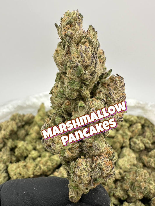 NEW LIGHT DEPS: Zangria, Marshmallow Pancakes, French Toast