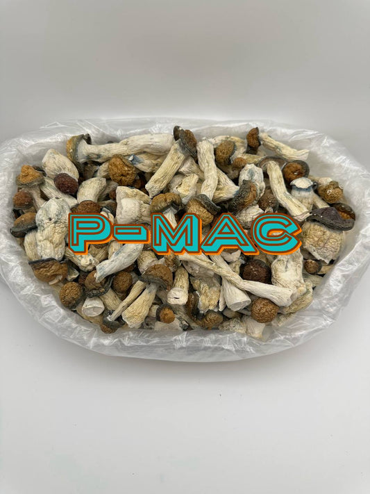[MUSHROOM] P-Mac