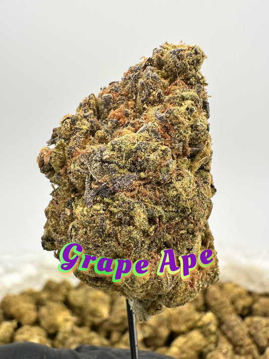 ORGANIC OUTDOORS: Alien Dawg, Sweet Tooth, Lemon Snow, Grape Ape