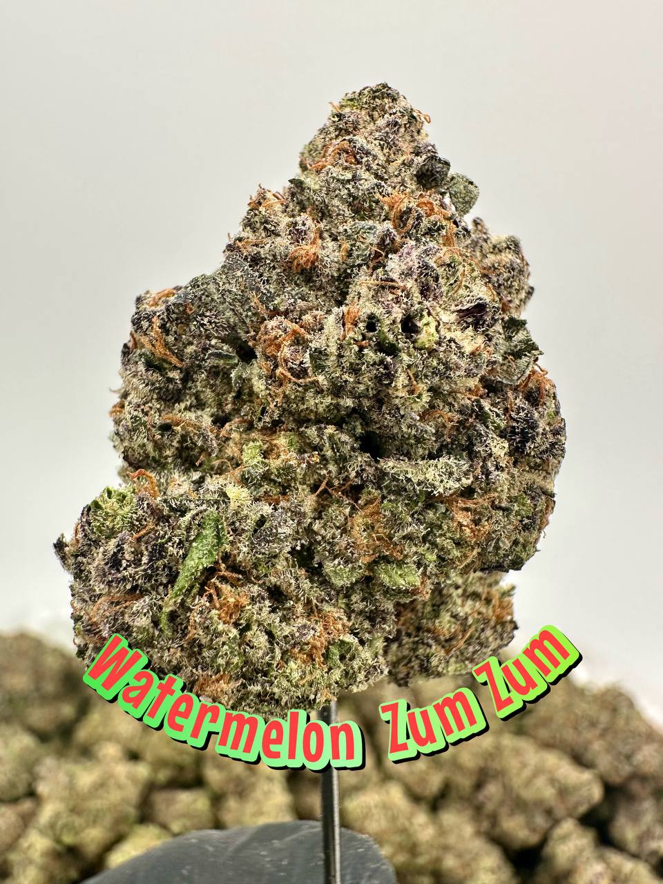 NEW PREMIER BOUTIQUES: Watermelon Zum Zum