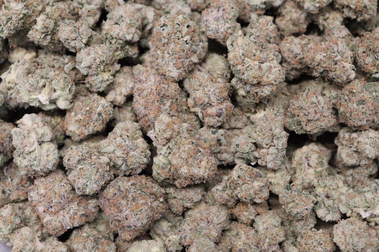 [LINK] Z-Up - Indoor Flower