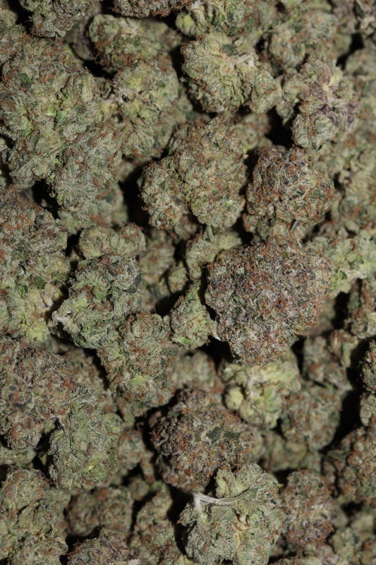 [LINK] R-41 Indoor Flower