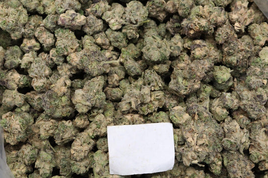 [LINK] Runtz - Budget Indoor Flower