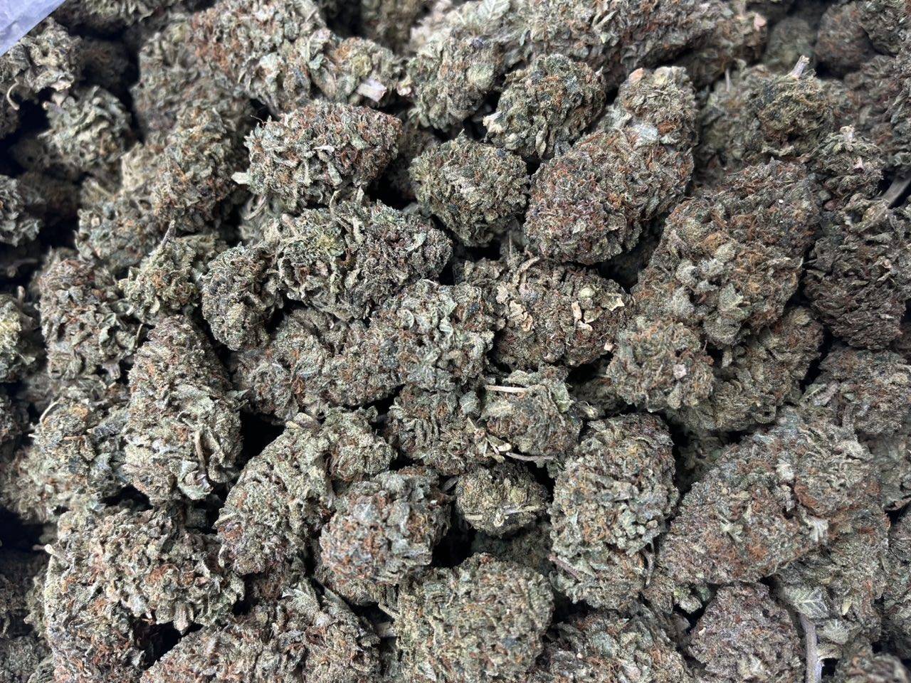 [EXOTIC] Platinum Kush