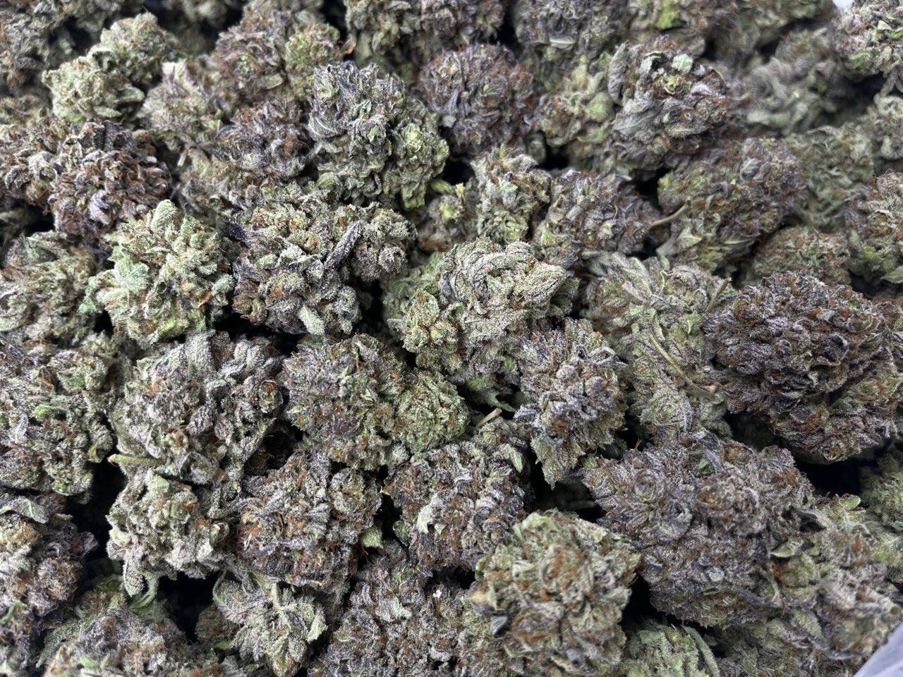 [EXOTIC] Purple Bubba Kush