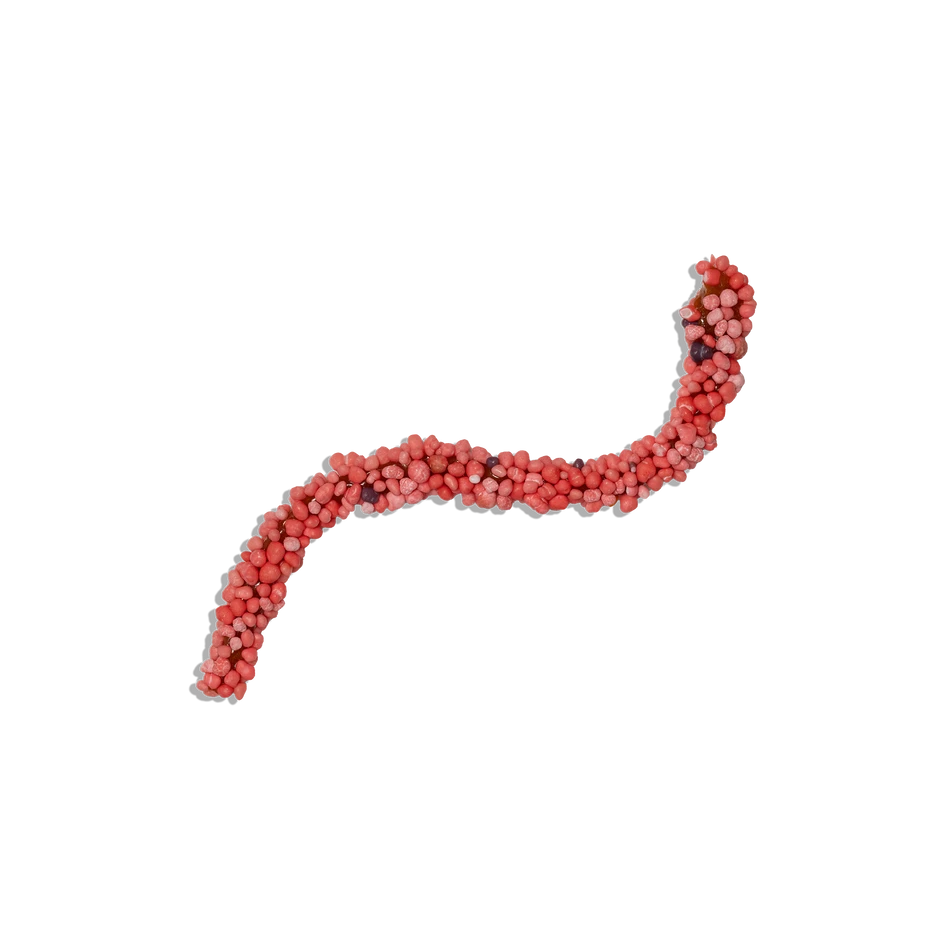 Devour Nerds Rope