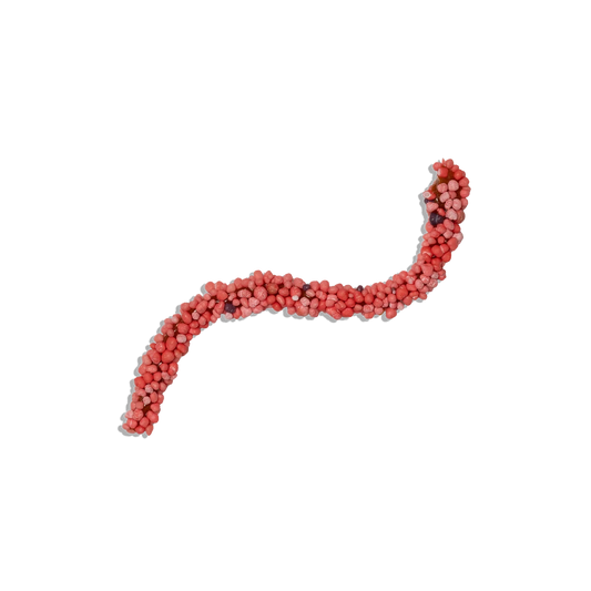 Devour Nerds Rope