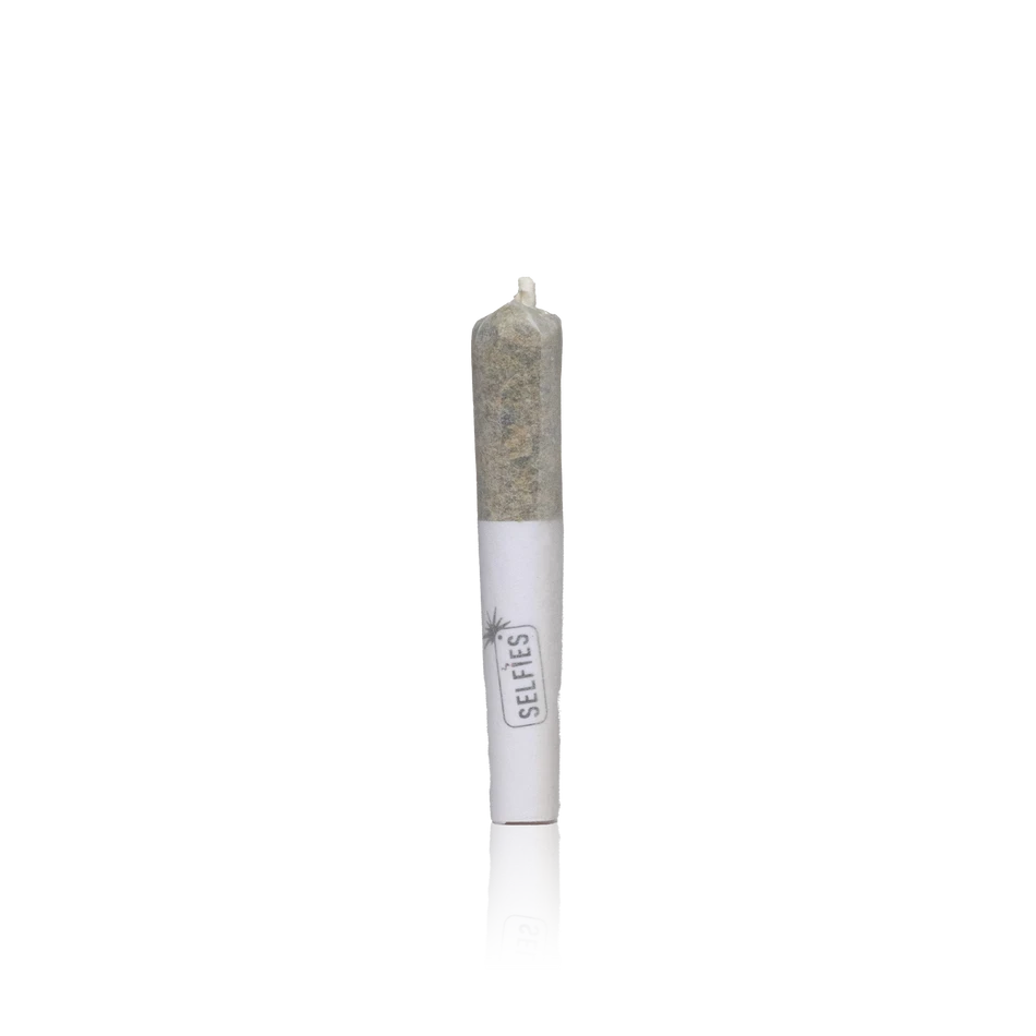 Selfies 12 Mini Prerolls
