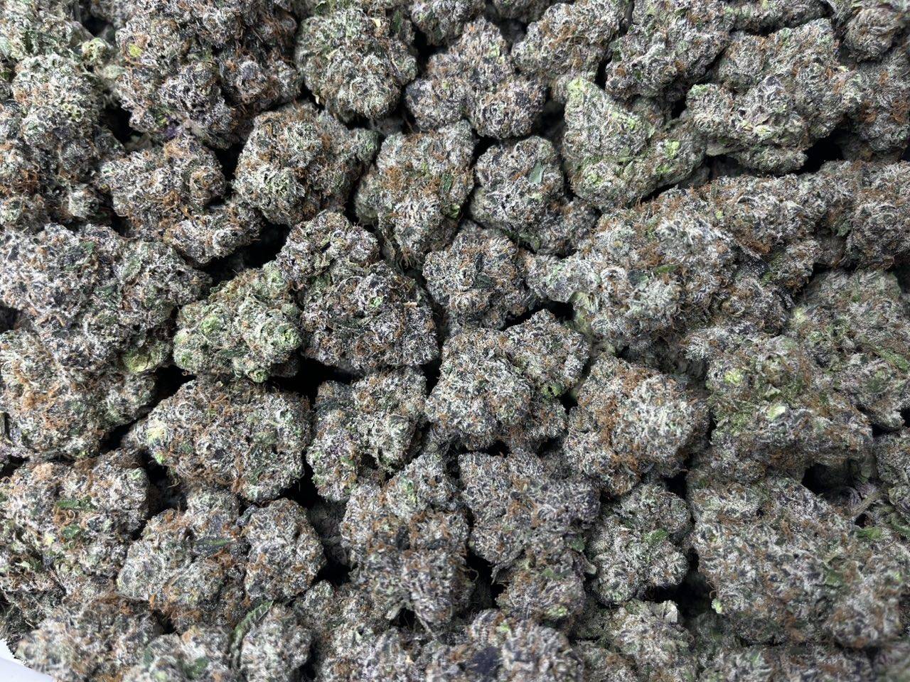 [EXOTIC] Frozen Fruit Loops