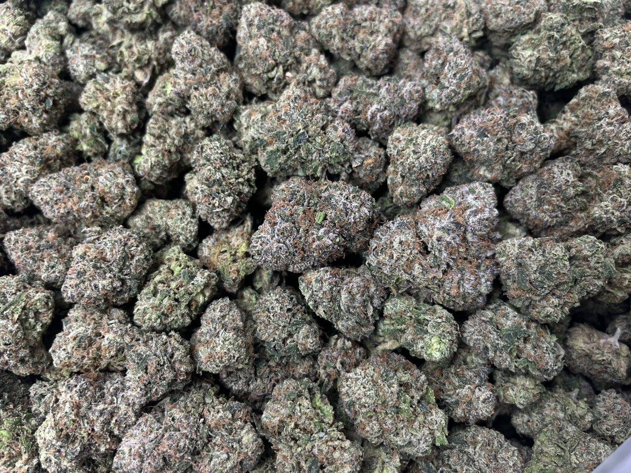 [EXOTIC] Lemon Cherry Sorbet