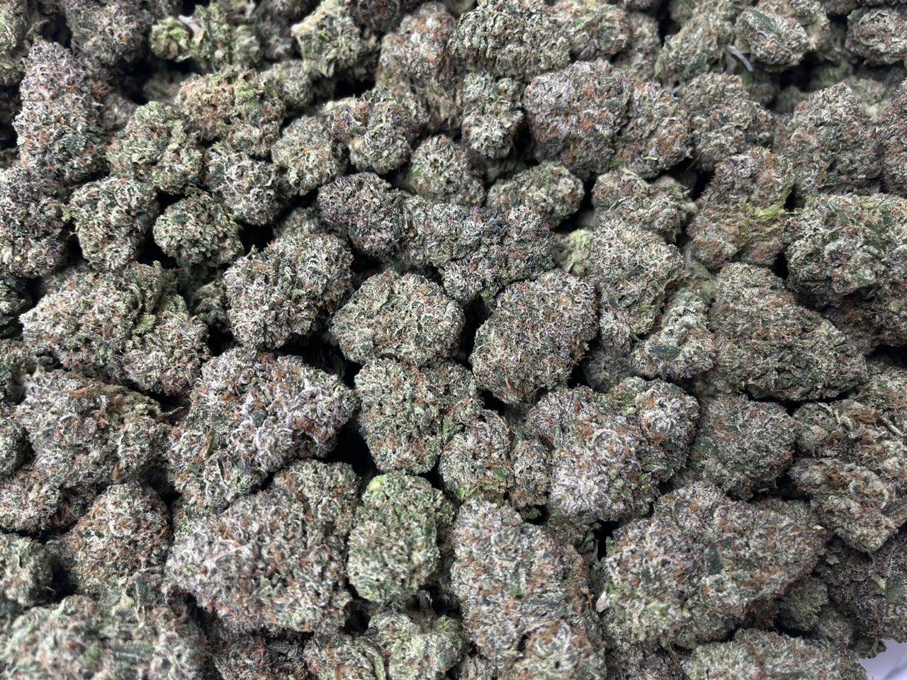 [EXOTIC] Pop Rockz