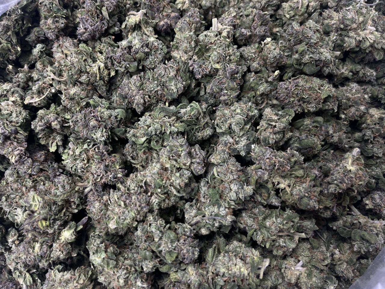 [EXOTIC] Passion Fruit
