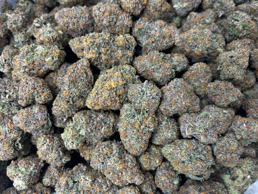 [EXOTIC] Bacio Gelato