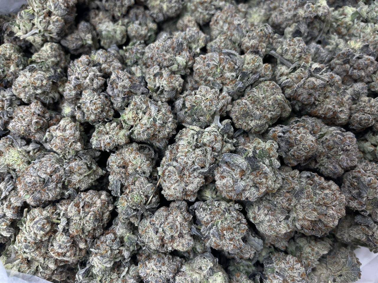 [EXOTIC] Frosted White Truffle