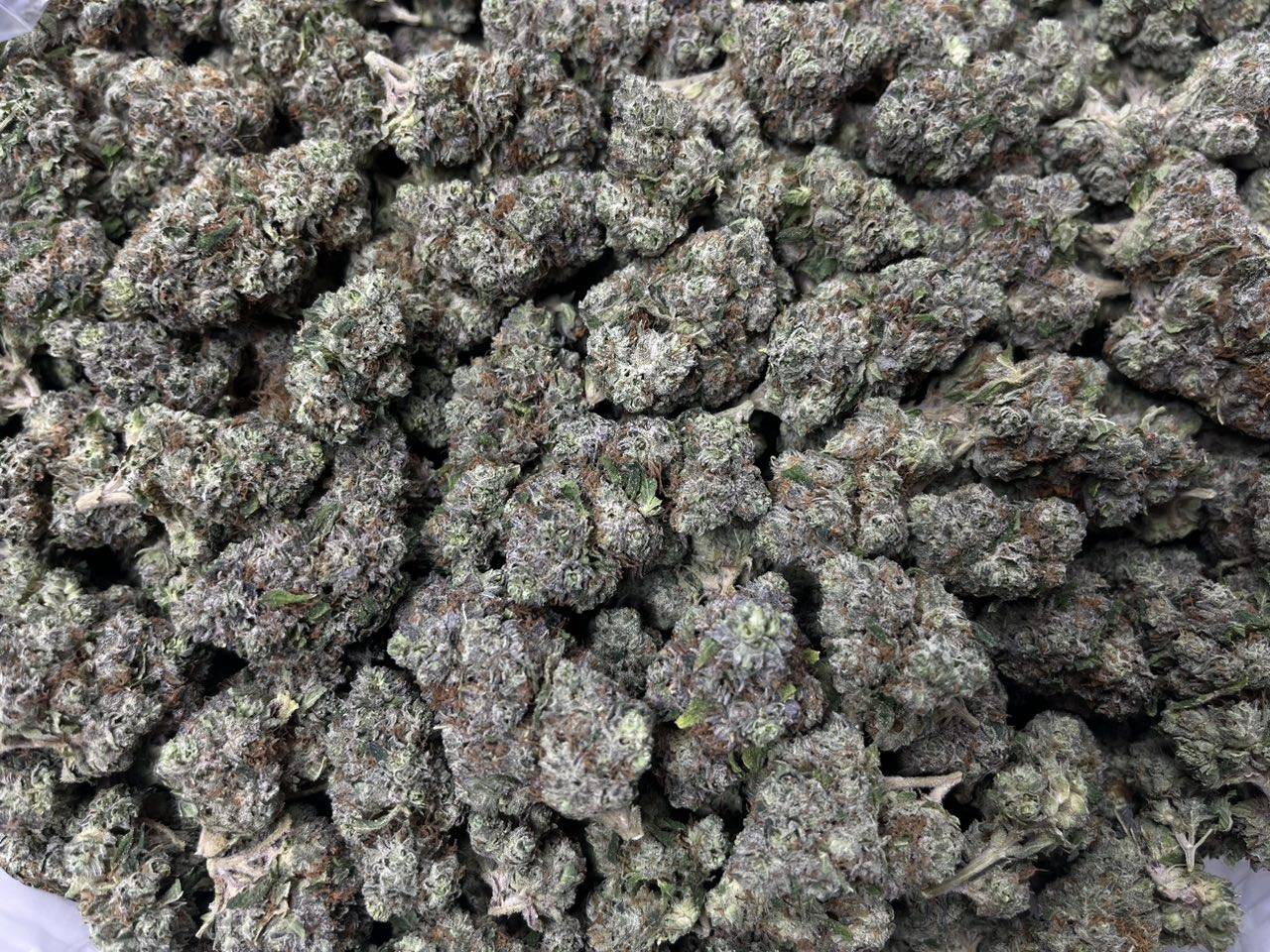 [EXOTIC] Candied Lemonz