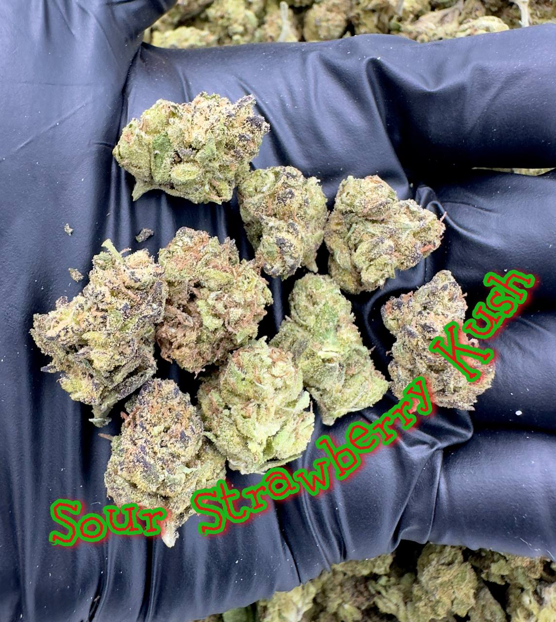 GREENHOUSE SMALLS: Sour Pez, Sour Strawberry Kush, Candy N Cream, Rainbow ICC