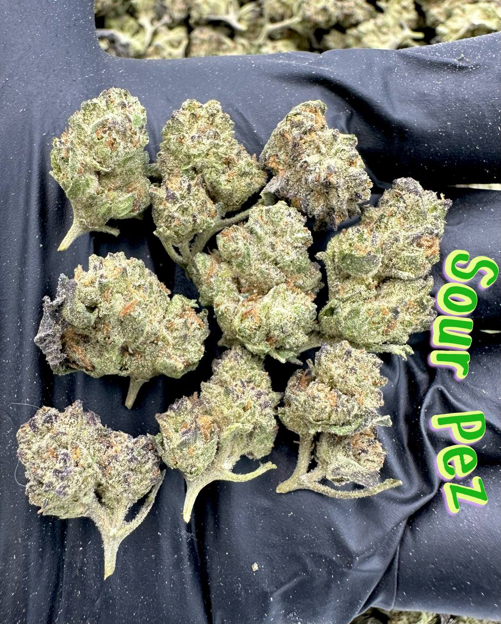 GREENHOUSE SMALLS: Sour Pez, Sour Strawberry Kush, Candy N Cream, Rainbow ICC