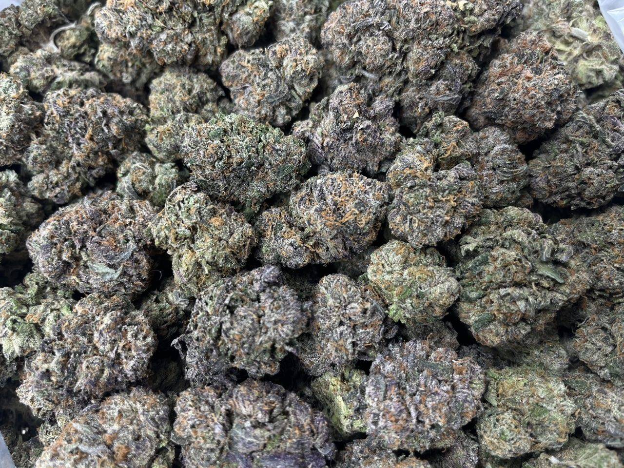 Sunset Zkittlez