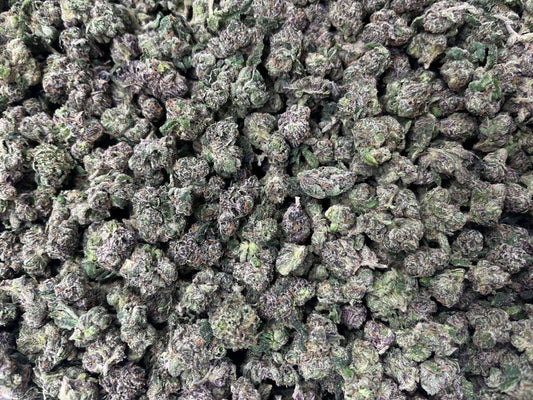[EXOTIC] Tropical Nerdz