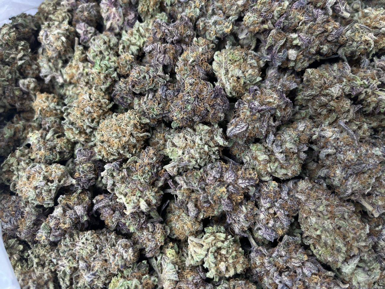 [EXOTIC] Tropicana Cherry