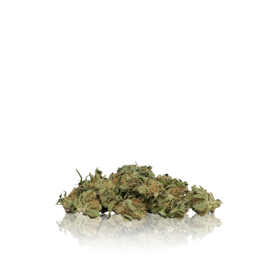 Bulk Premium Untrimmed Smalls
